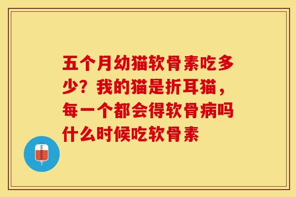 五个月幼猫软骨素吃多少？我的猫是折耳猫，每一个都会得软骨病吗什么时候吃软骨素
