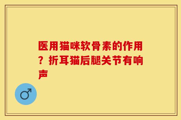 医用猫咪软骨素的作用?折耳猫后腿关节有响声 医用猫咪软骨素的作用?折耳猫后腿关节有响声