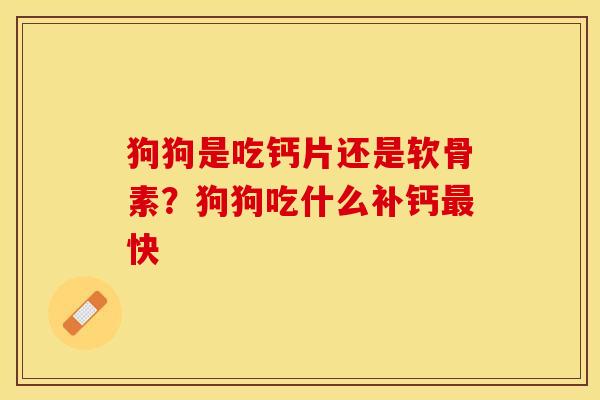 狗狗是吃钙片还是软骨素？狗狗吃什么补钙最快
