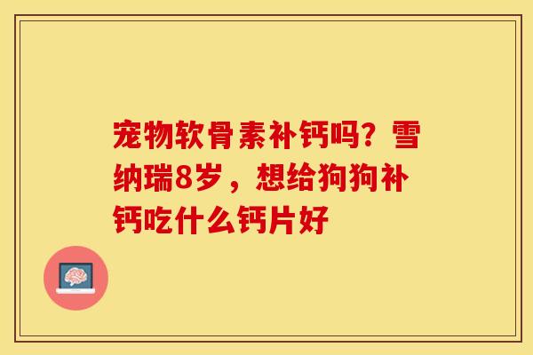 宠物软骨素补钙吗？雪纳瑞8岁，想给狗狗补钙吃什么钙片好