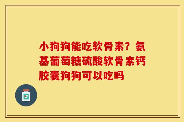 小狗狗能吃软骨素？氨基葡萄糖硫酸软骨素钙胶囊狗狗可以吃吗