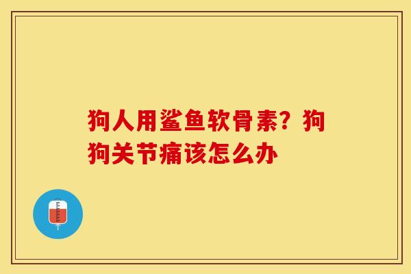 狗人用鲨鱼软骨素？狗狗关节痛该怎么办