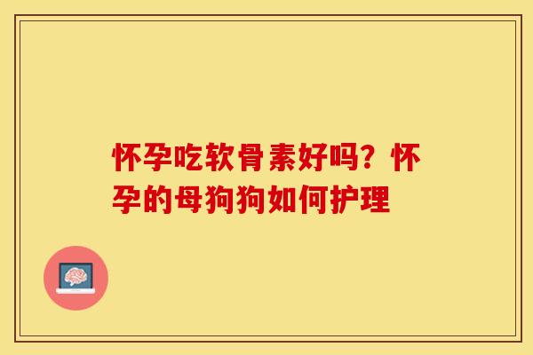 怀孕吃软骨素好吗？怀孕的母狗狗如何护理
