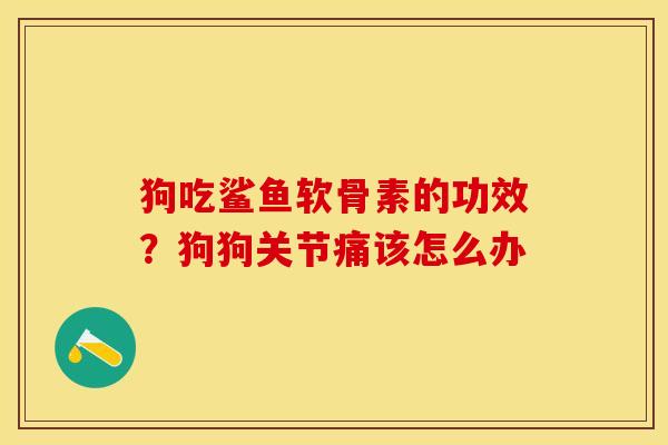 狗吃鲨鱼软骨素的功效？狗狗关节痛该怎么办