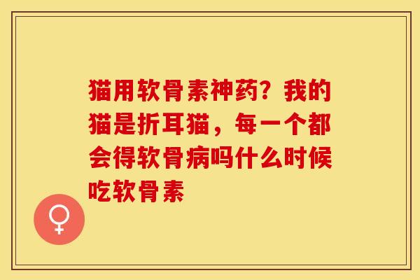 猫用软骨素神药？我的猫是折耳猫，每一个都会得软骨病吗什么时候吃软骨素