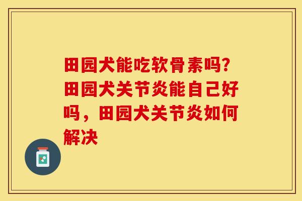 田园犬能吃软骨素吗？田园犬关节炎能自己好吗，田园犬关节炎如何解决