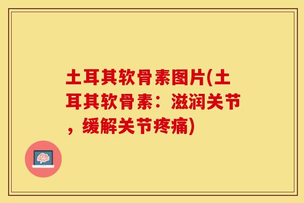 土耳其软骨素图片(土耳其软骨素：滋润关节，缓解关节疼痛)