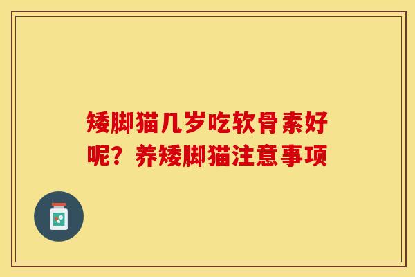 矮脚猫几岁吃软骨素好呢？养矮脚猫注意事项