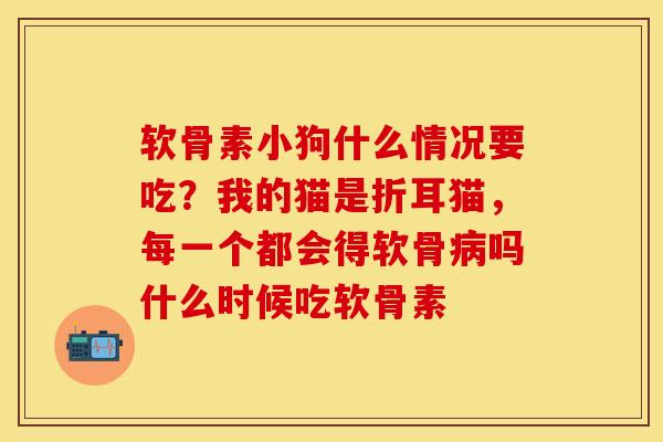 软骨素小狗什么情况要吃？我的猫是折耳猫，每一个都会得软骨病吗什么时候吃软骨素