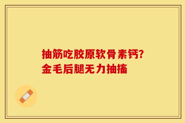 抽筋吃胶原软骨素钙？金毛后腿无力抽搐