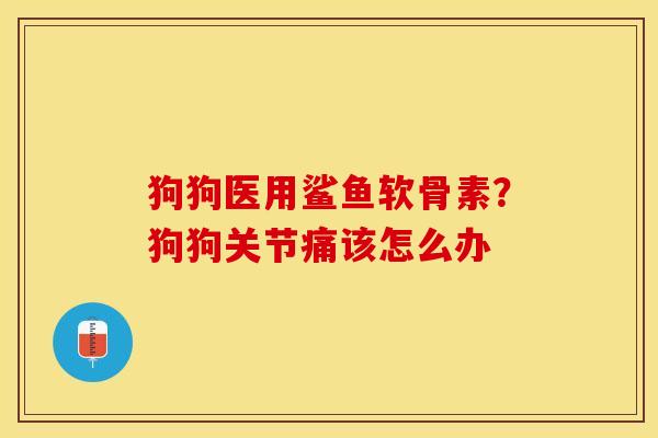 狗狗医用鲨鱼软骨素?狗狗关节痛该怎么办 狗狗医用鲨鱼软骨素?狗狗关节痛该怎么办