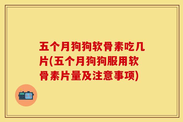 五个月狗狗软骨素吃几片(五个月狗狗服用软骨素片量及注意事项)