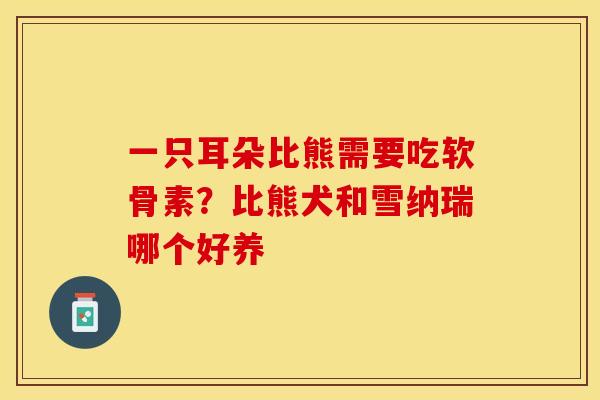 一只耳朵比熊需要吃软骨素？比熊犬和雪纳瑞哪个好养