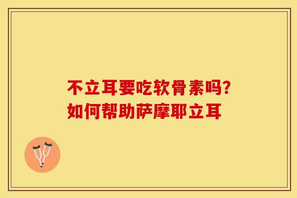 不立耳要吃软骨素吗?如何帮助萨摩耶立耳 不立耳要吃软骨素吗?如何帮助萨摩耶立耳