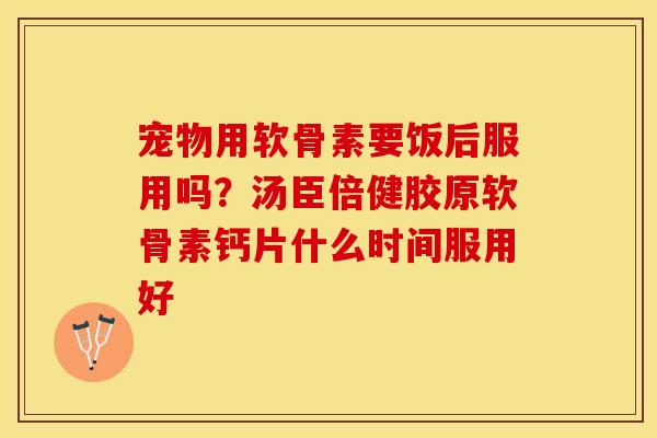 宠物用软骨素要饭后服用吗？汤臣倍健胶原软骨素钙片什么时间服用好