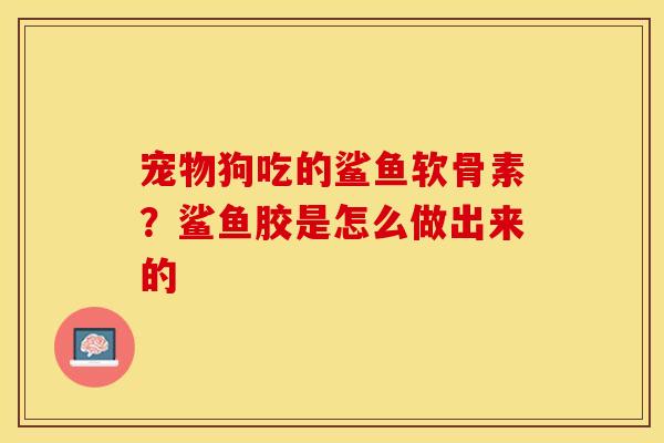 宠物狗吃的鲨鱼软骨素？鲨鱼胶是怎么做出来的