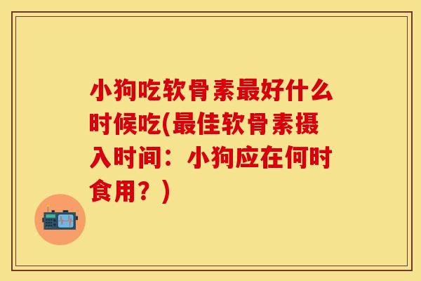小狗吃软骨素最好什么时候吃(最佳软骨素摄入时间：小狗应在何时食用？)