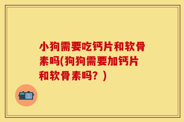 小狗需要吃钙片和软骨素吗(狗狗需要加钙片和软骨素吗？)