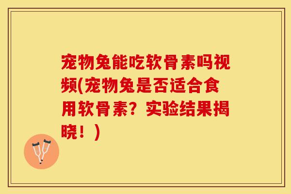 宠物兔能吃软骨素吗视频(宠物兔是否适合食用软骨素？实验结果揭晓！)