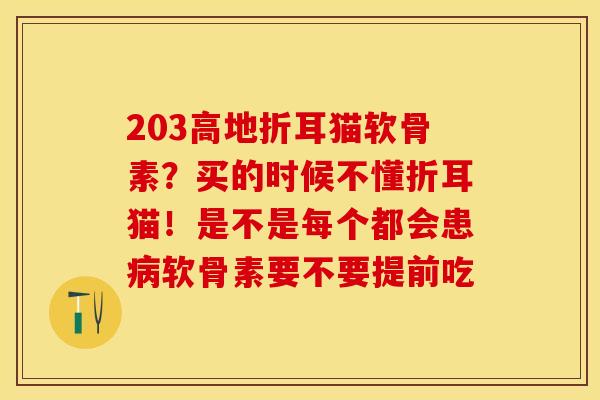 203高地折耳猫软骨素？买的时候不懂折耳猫！是不是每个都会患病软骨素要不要提前吃