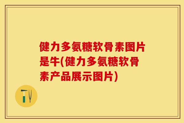 健力多氨糖软骨素图片是牛(健力多氨糖软骨素产品展示图片)