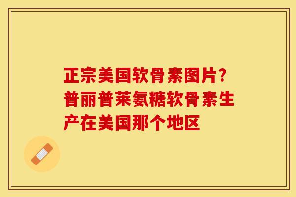 正宗美国软骨素图片？普丽普莱氨糖软骨素生产在美国那个地区