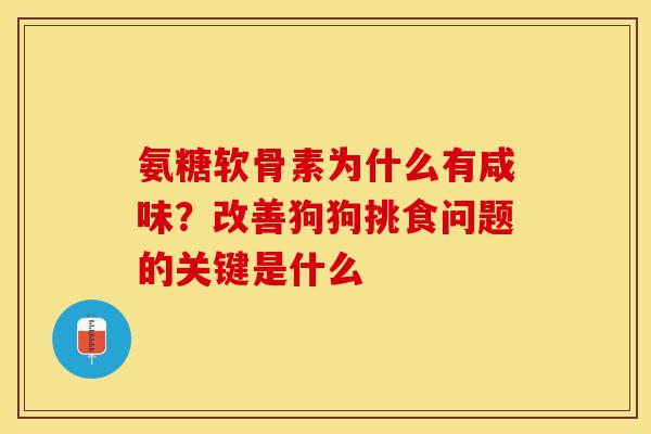 氨糖软骨素为什么有咸味？改善狗狗挑食问题的关键是什么