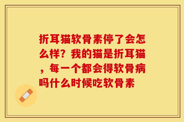 折耳猫软骨素停了会怎么样？我的猫是折耳猫，每一个都会得软骨病吗什么时候吃软骨素