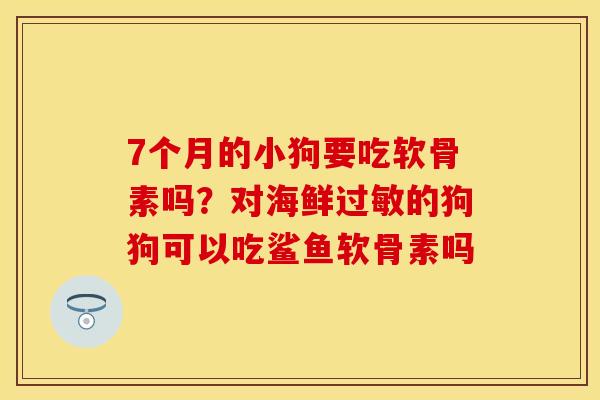 7个月的小狗要吃软骨素吗？对海鲜过敏的狗狗可以吃鲨鱼软骨素吗