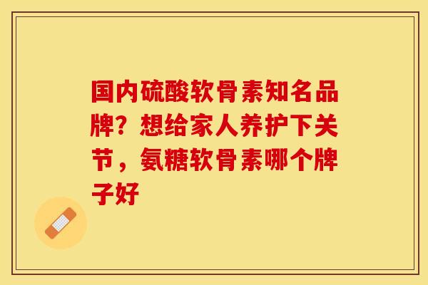 国内硫酸软骨素知名品牌？想给家人养护下关节，氨糖软骨素哪个牌子好