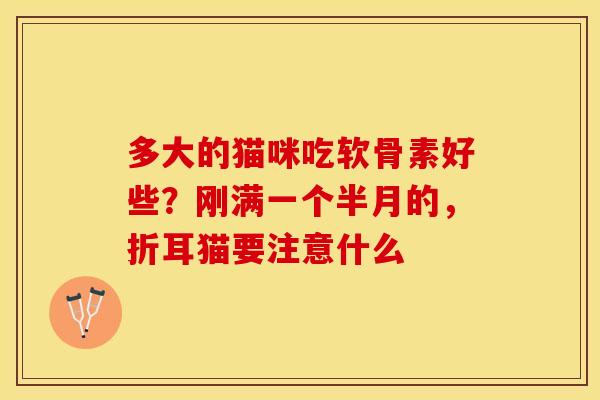 多大的猫咪吃软骨素好些？刚满一个半月的，折耳猫要注意什么