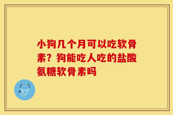 小狗几个月可以吃软骨素？狗能吃人吃的盐酸氨糖软骨素吗