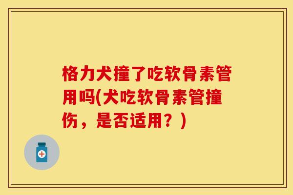 格力犬撞了吃软骨素管用吗(犬吃软骨素管撞伤，是否适用？)
