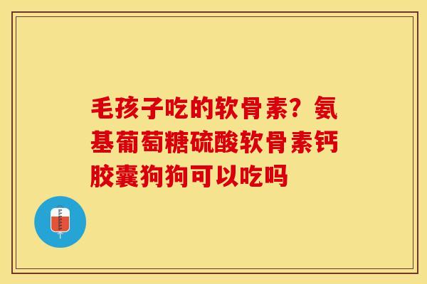 毛孩子吃的软骨素？氨基葡萄糖硫酸软骨素钙胶囊狗狗可以吃吗