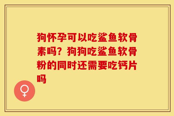 狗怀孕可以吃鲨鱼软骨素吗？狗狗吃鲨鱼软骨粉的同时还需要吃钙片吗