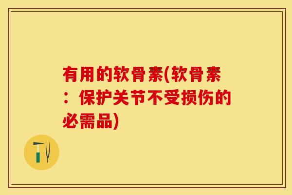 有用的软骨素(软骨素：保护关节不受损伤的必需品)