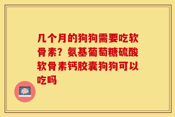 几个月的狗狗需要吃软骨素？氨基葡萄糖硫酸软骨素钙胶囊狗狗可以吃吗