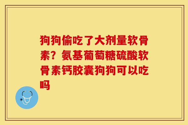 狗狗偷吃了大剂量软骨素？氨基葡萄糖硫酸软骨素钙胶囊狗狗可以吃吗