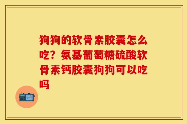 狗狗的软骨素胶囊怎么吃？氨基葡萄糖硫酸软骨素钙胶囊狗狗可以吃吗