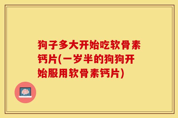 狗子多大开始吃软骨素钙片(一岁半的狗狗开始服用软骨素钙片)