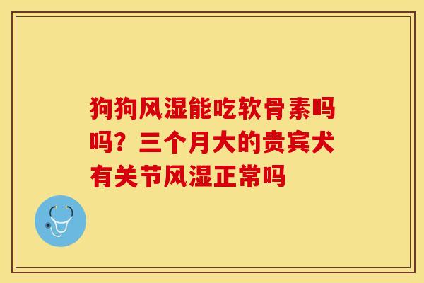 狗狗风湿能吃软骨素吗吗？三个月大的贵宾犬有关节风湿正常吗