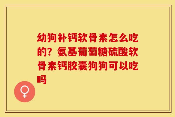 幼狗补钙软骨素怎么吃的？氨基葡萄糖硫酸软骨素钙胶囊狗狗可以吃吗