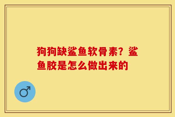 狗狗缺鲨鱼软骨素？鲨鱼胶是怎么做出来的