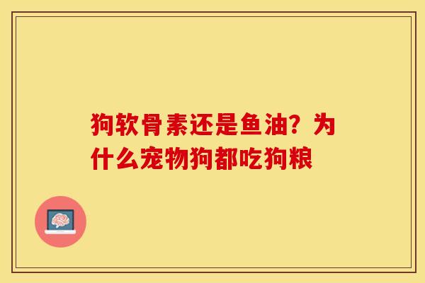 狗软骨素还是鱼油？为什么宠物狗都吃狗粮