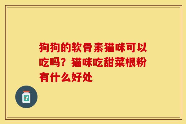 狗狗的软骨素猫咪可以吃吗？猫咪吃甜菜根粉有什么好处