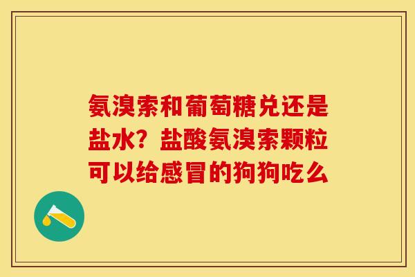 氨溴索和葡萄糖兑还是盐水?盐酸氨溴索颗粒可以给的狗狗吃么 氨溴索和葡萄糖兑还是盐水?盐酸氨溴索颗粒可以给的狗狗吃么
