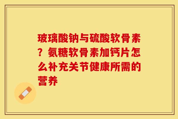 玻璃酸钠与硫酸软骨素？氨糖软骨素加钙片怎么补充关节健康所需的营养