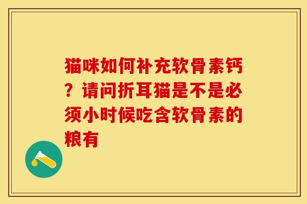猫咪如何补充软骨素钙？请问折耳猫是不是必须小时候吃含软骨素的粮有