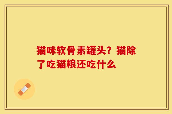 猫咪软骨素罐头?猫除了吃猫粮还吃什么 猫咪软骨素罐头?猫除了吃猫粮还吃什么