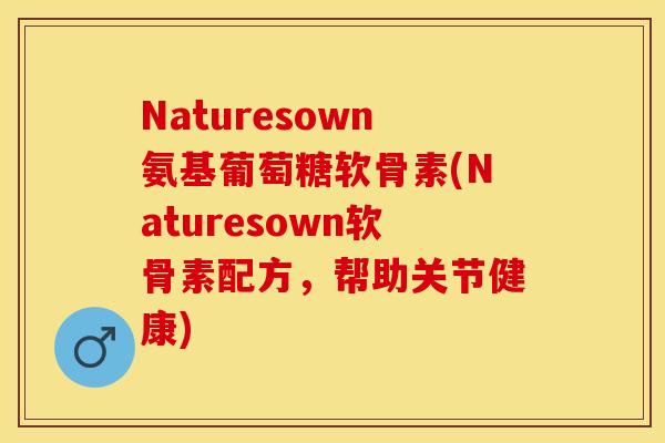 Naturesown氨基葡萄糖软骨素(Naturesown软骨素配方，帮助关节健康)